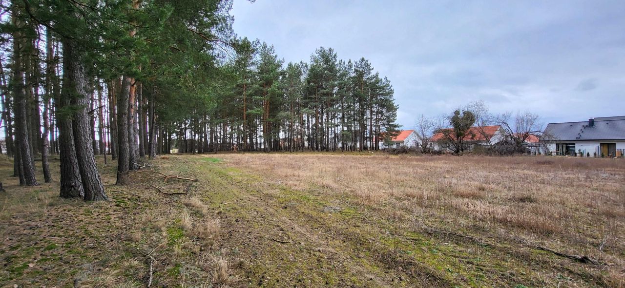 Działka budowlana Cekcyn Cekcynek. Zdjęcie 7