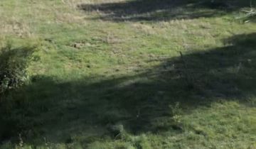 Działka budowlana Stefanówka, ul. Złota