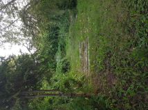 Działka rod Katowice Brynów, ul. Porfirowa. Zdjęcie 4