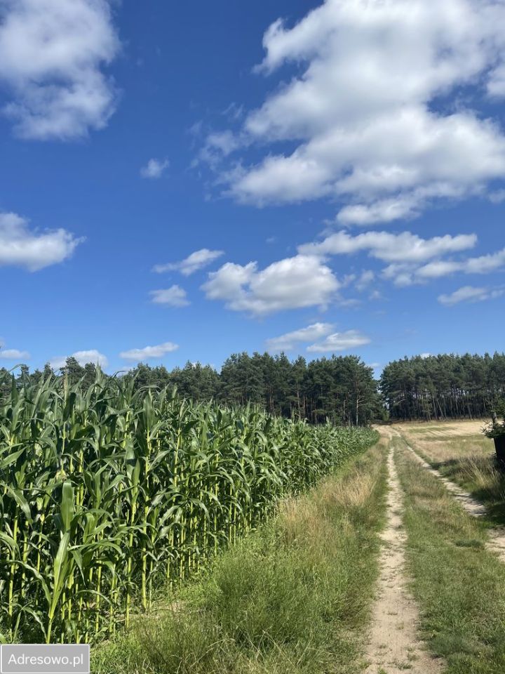 siedlisko, 4 pokoje Zamość. Zdjęcie 6