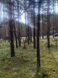 Działka budowlana Olsztyn. Zdjęcie 1
