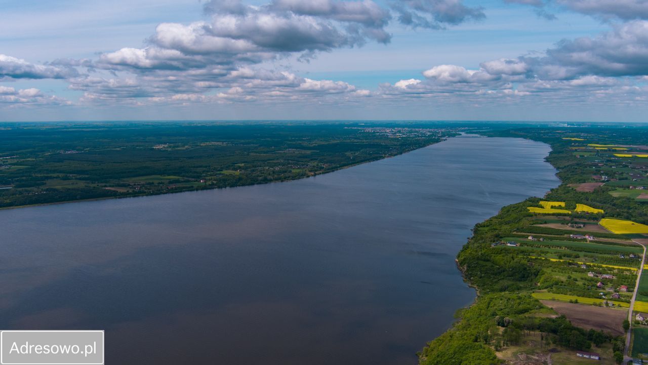 gospodarstwo, 3 pokoje Bachorzewo. Zdjęcie 8