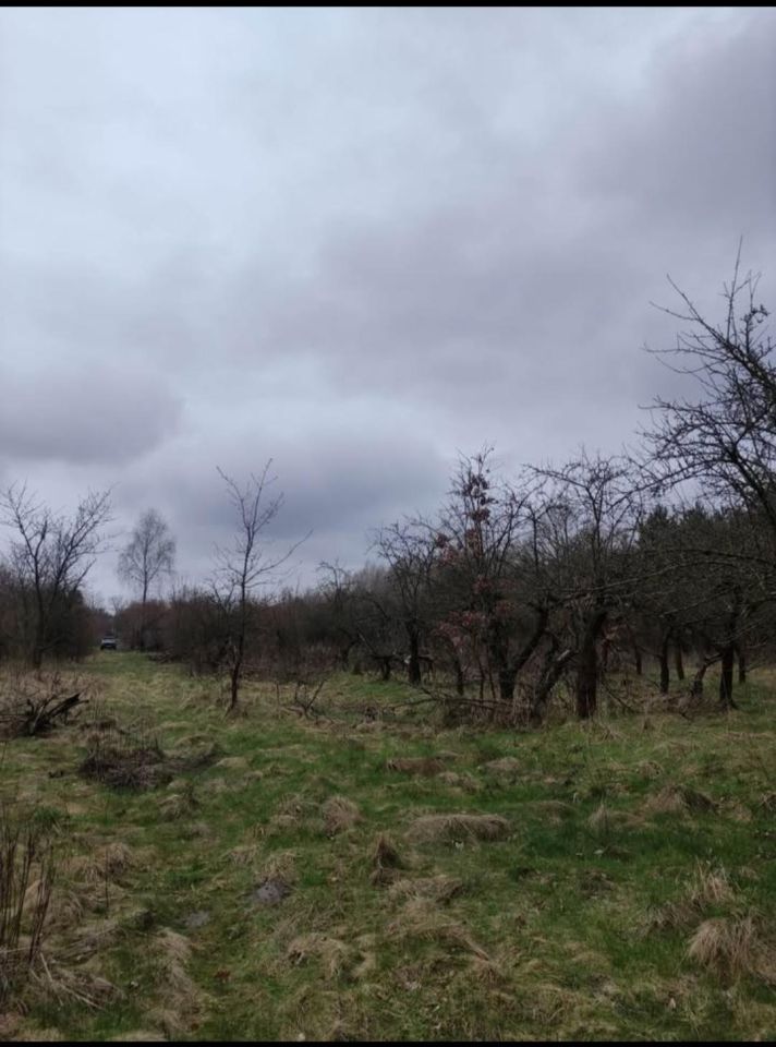 Działka rolna Wincentów. Zdjęcie 2