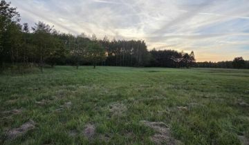 Działka rolna Knapy Smykle