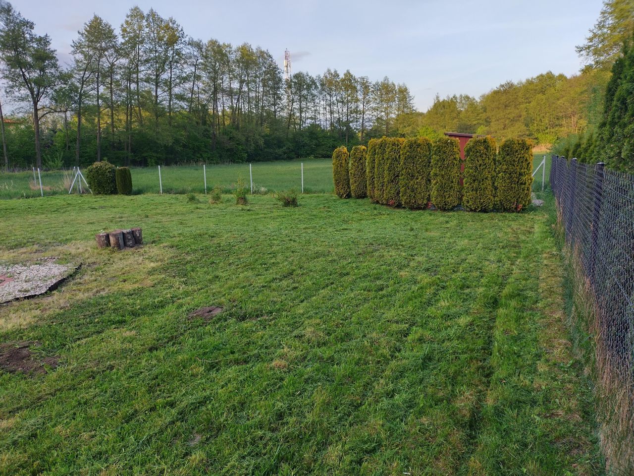 Działka rolna Drwalew. Zdjęcie 11