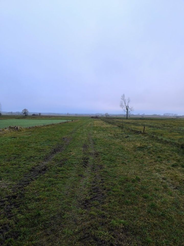 Działka rolno-budowlana Głużek. Zdjęcie 4
