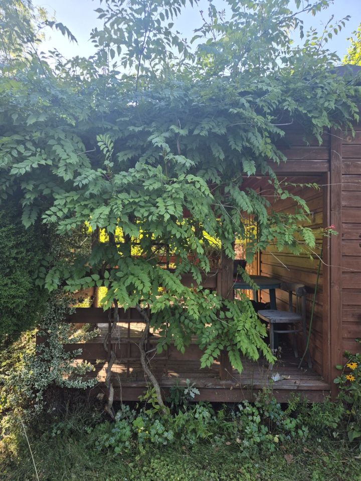 Działka rod Oświęcim Stare Stawy. Zdjęcie 6