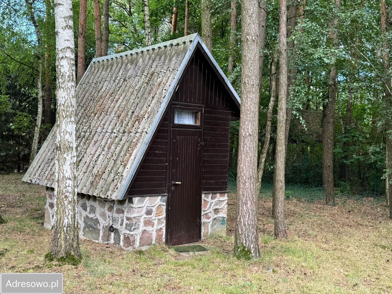 Działka rekreacyjna Borkowo. Zdjęcie 9