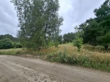 Działka rolno-budowlana Dolaszewo. Zdjęcie 1