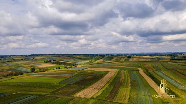 Działka rolna Czulice. Zdjęcie 2