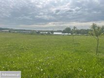 Działka rekreacyjna Rakowice Małe. Zdjęcie 3