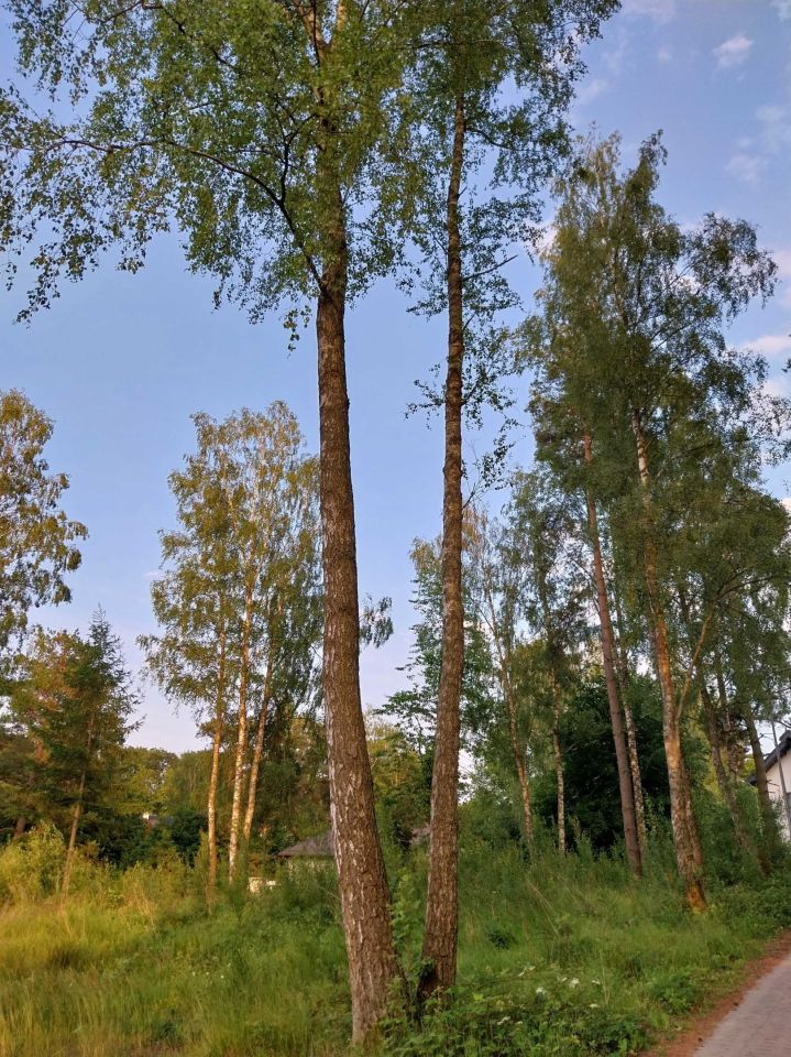 Działka budowlana Rekowo Górne, ul. Świerkowa. Zdjęcie 3
