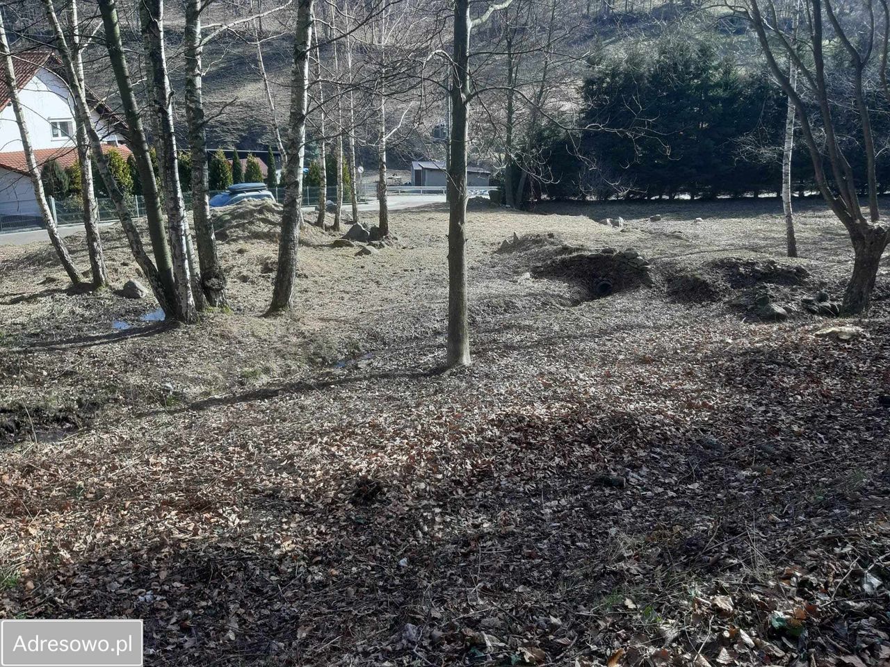 Działka budowlana Pieszyce Lasocin. Zdjęcie 2