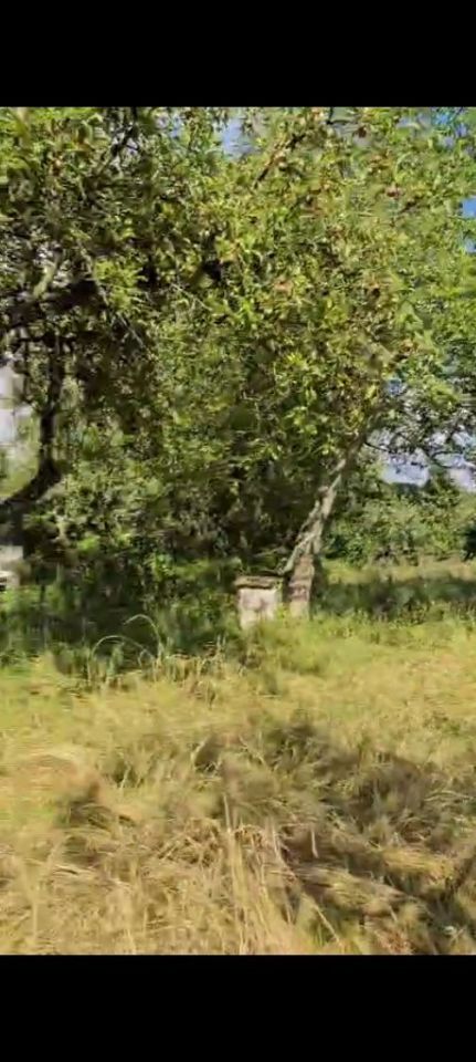 Działka rod Trzebiatów. Zdjęcie 4