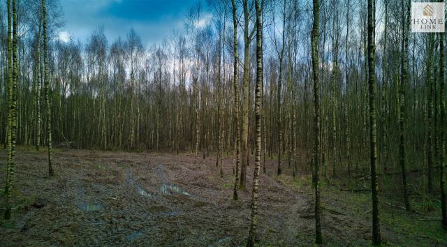 Działka rekreacyjna Stare Miasto. Zdjęcie 13