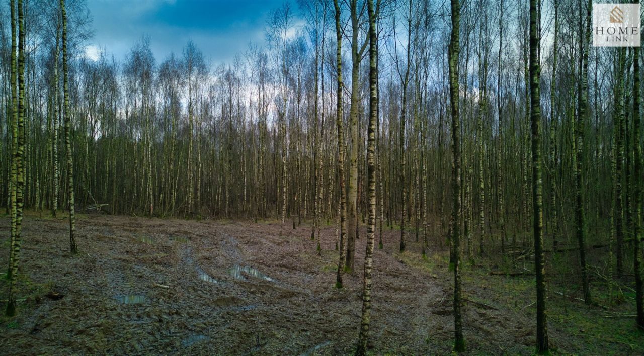 Działka rekreacyjna Stare Miasto. Zdjęcie 13