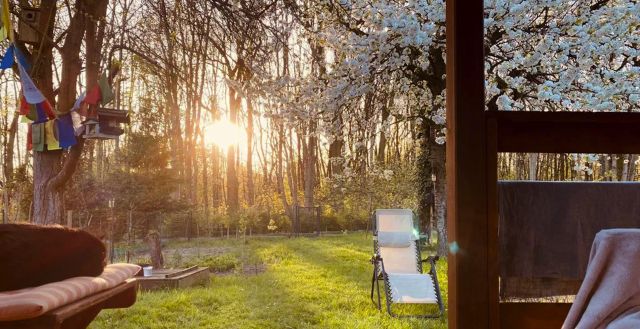 Działka rod Nakło Śląskie, ul. Działkowców. Zdjęcie 5