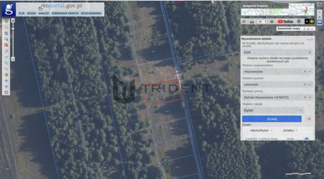 Działka budowlana Dybki. Zdjęcie 2