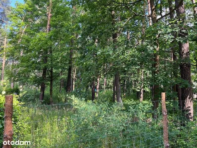 Działka budowlana Magdalenka, ul. Jaworowa. Zdjęcie 6