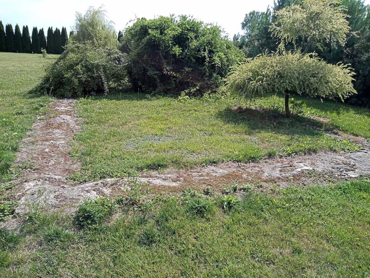 Działka budowlana Wierzbowo. Zdjęcie 6