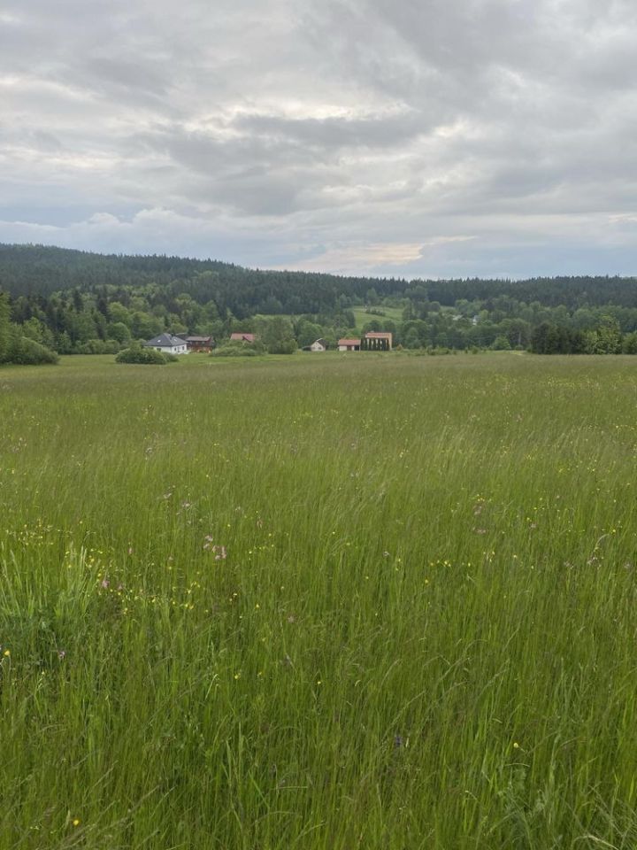 Działka budowlana Ptaszkowa. Zdjęcie 6