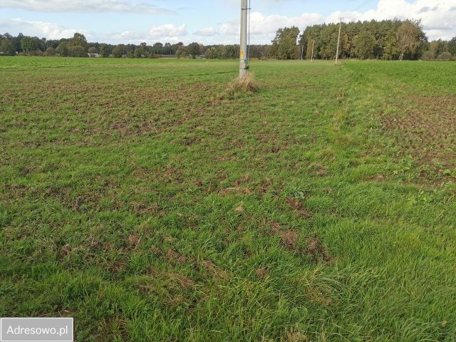 Działka rolna Krasiejów. Zdjęcie 1