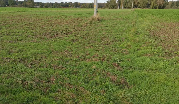 Działka rolna Krasiejów