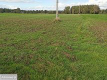 Działka rolna Krasiejów