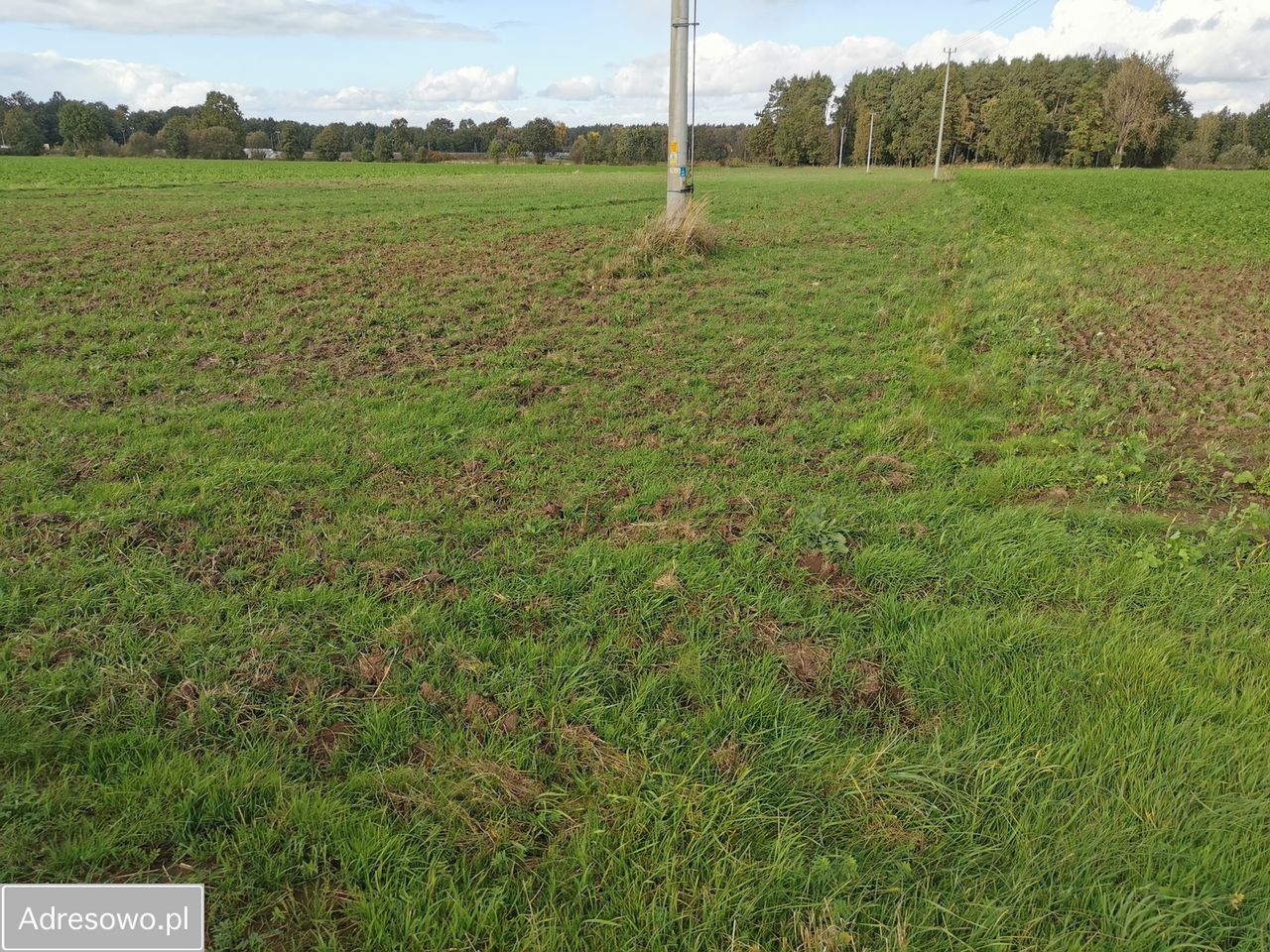 Działka rolna Krasiejów