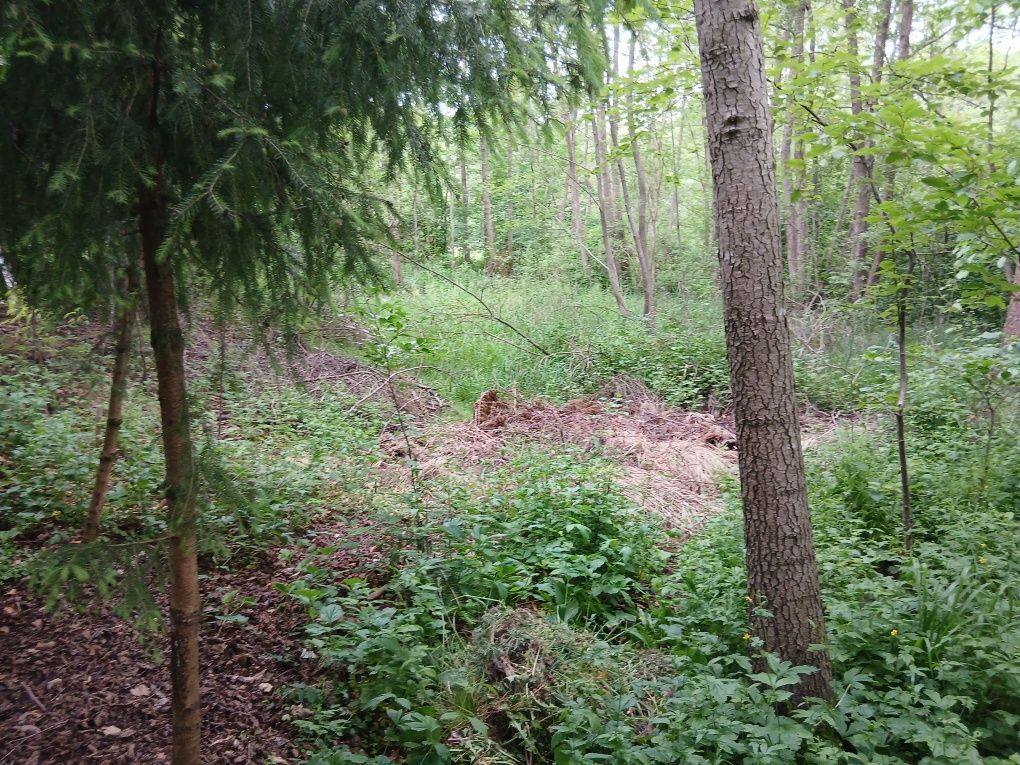 Działka rolno-budowlana Wola Malkowska. Zdjęcie 8