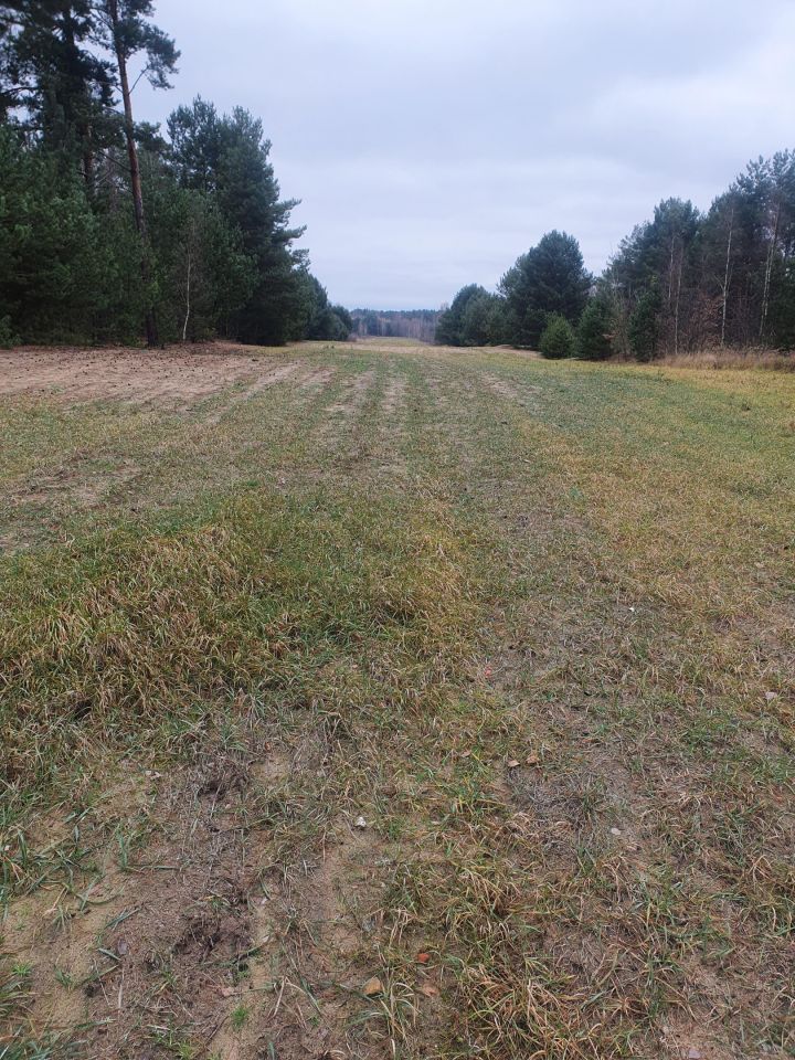 Działka rolna Smyków. Zdjęcie 4