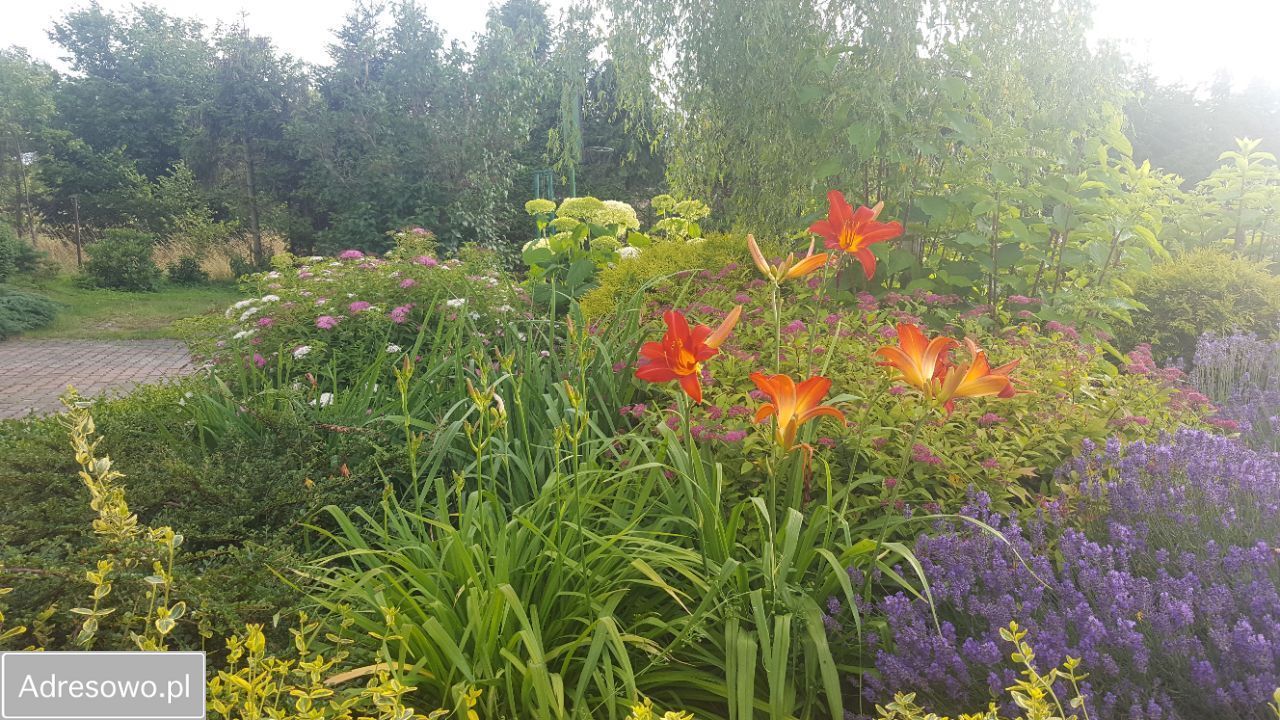 dom wolnostojący, 9 pokoi Pasieka. Zdjęcie 8