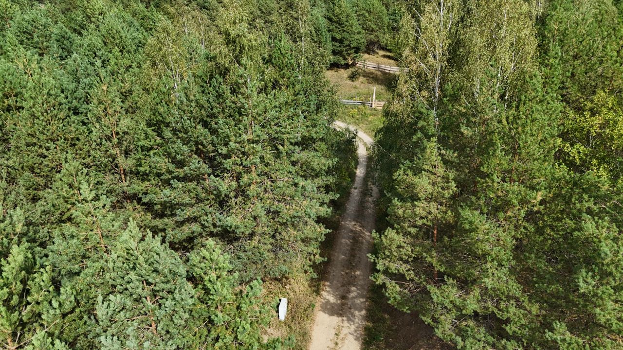 Działka budowlana Cierzpięty. Zdjęcie 8