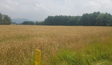 Działka budowlana Radziechowy