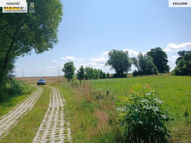 Działka budowlana Mrzeżyno. Zdjęcie 6
