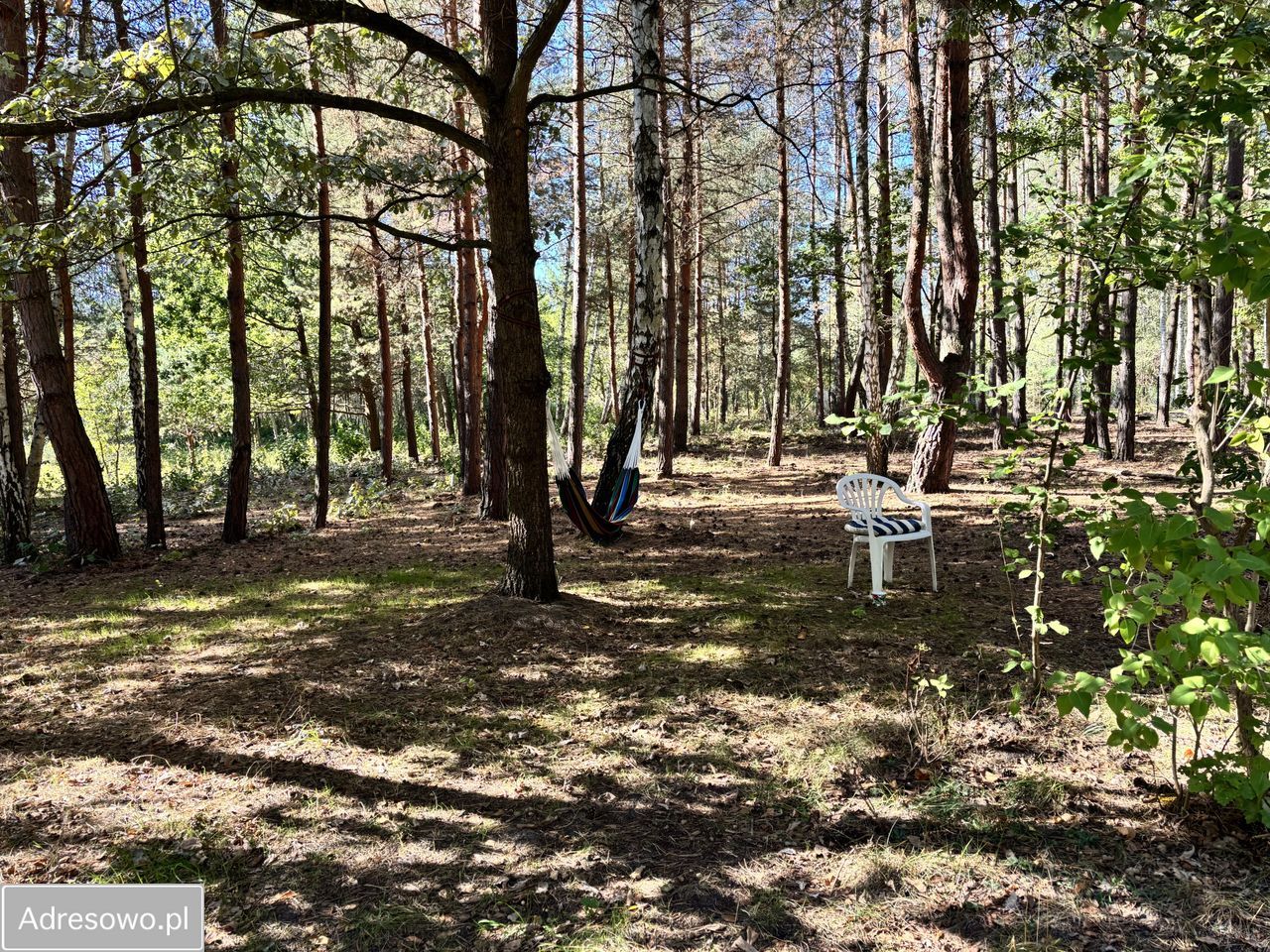 Działka budowlana Jeziórko Ustanówek, ul. Wiosenna. Zdjęcie 2