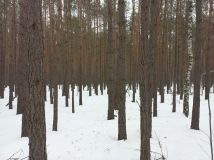 Działka budowlana Otwock Soplicowo, ul. Bernardyńska 32. Zdjęcie 2