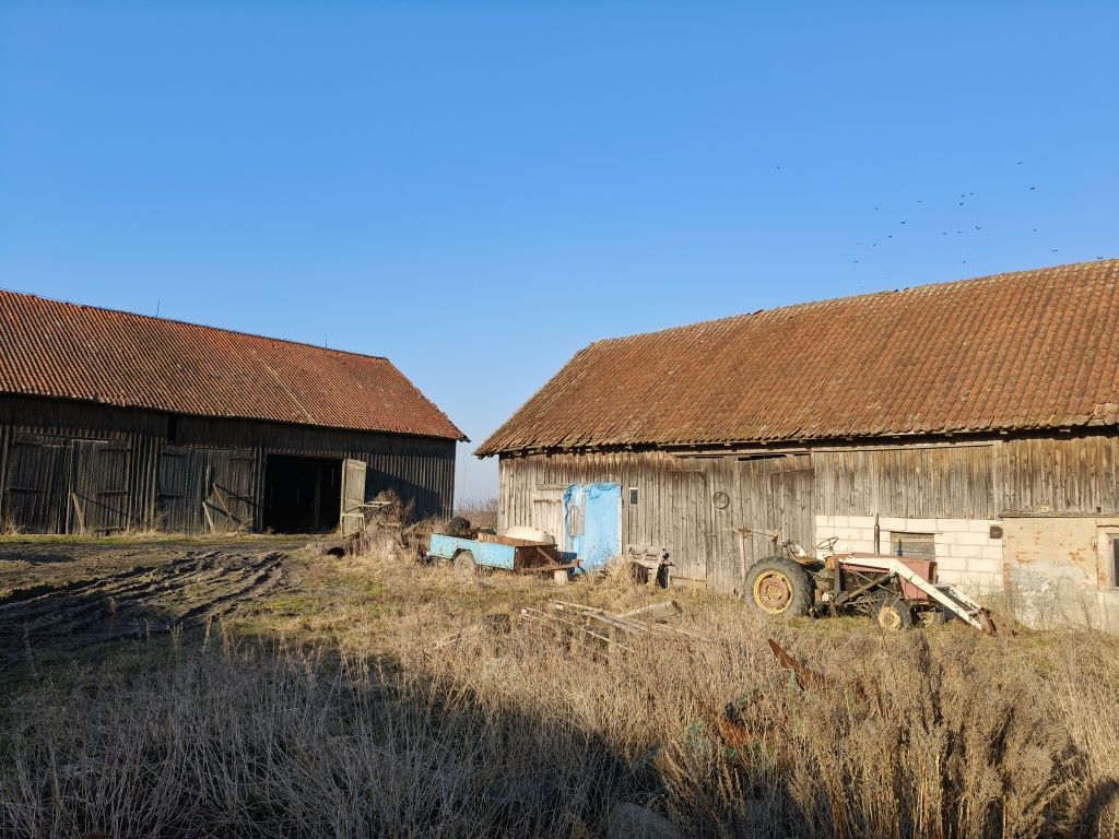 gospodarstwo Zawidy. Zdjęcie 2