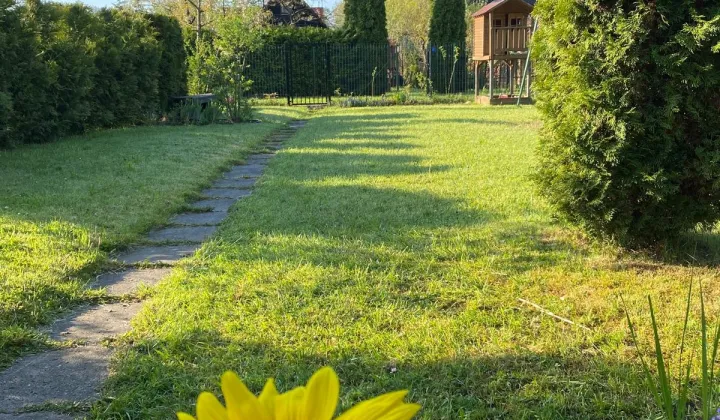 Działka rod Olsztyn Kortowo, ul. Kazimierza Jagiellończyka