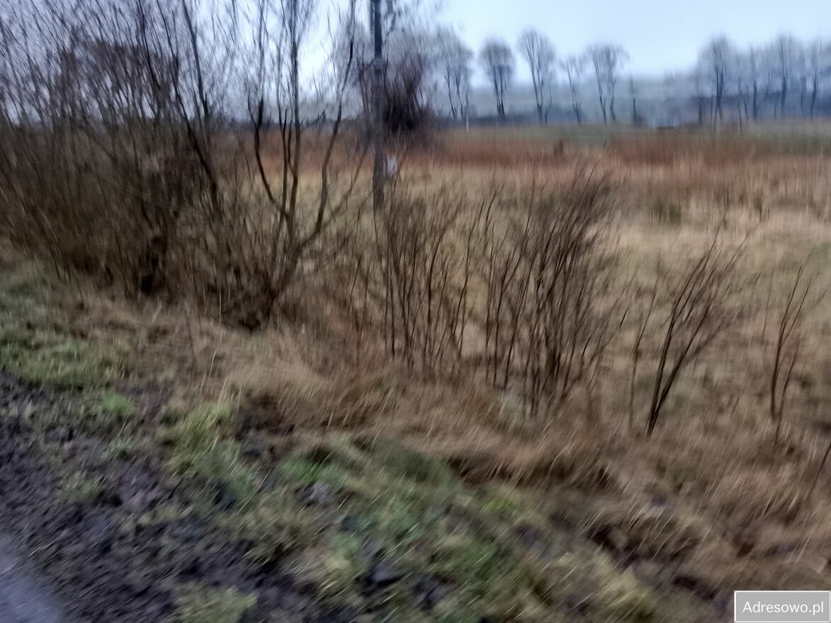 Działka rolna Jeżyczki. Zdjęcie 6