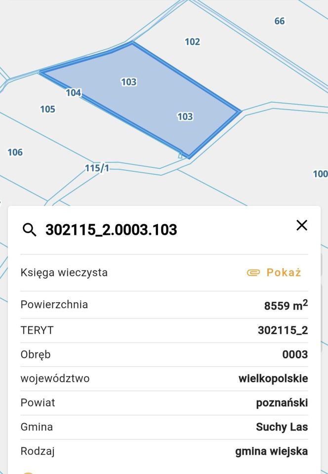 Działka rolna Golęczewo. Zdjęcie 3
