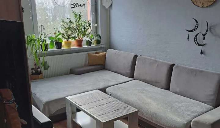 Mieszkanie 2-pokojowe Paczyna