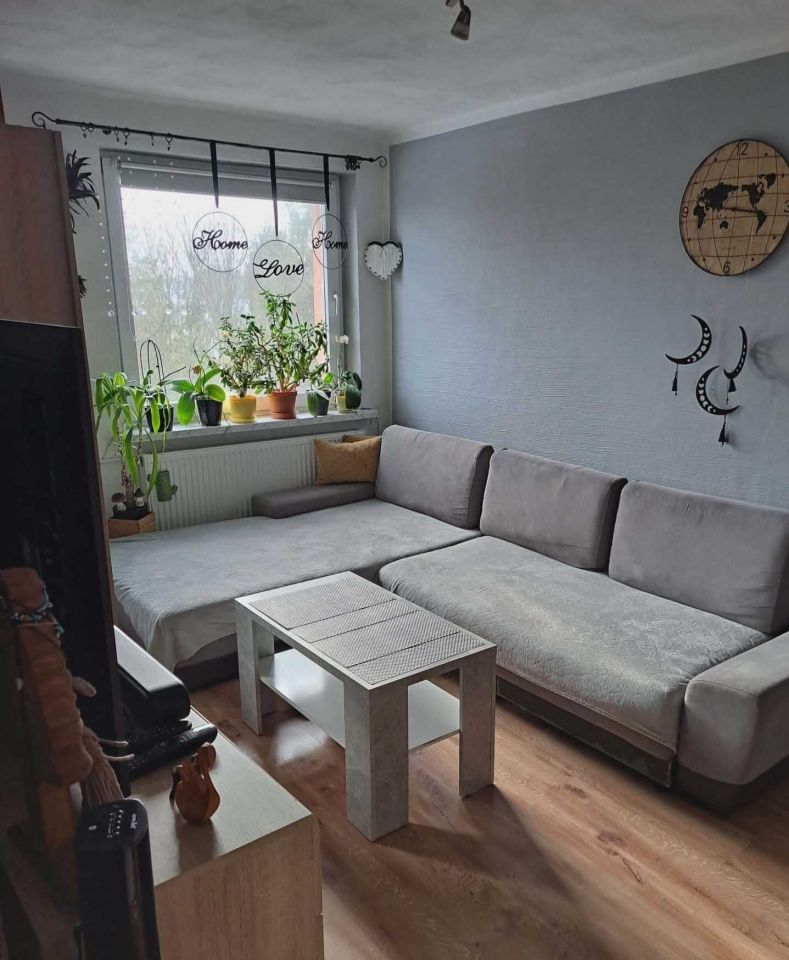 Mieszkanie 2-pokojowe Paczyna. Zdjęcie 1