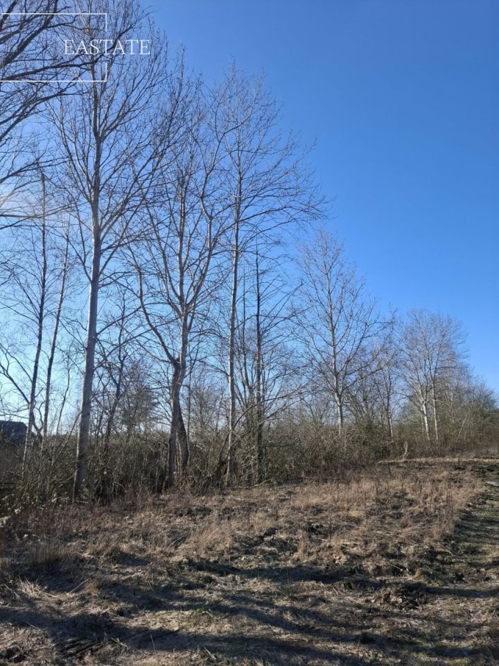 Działka budowlana Nowy Prażmów, ul. Akacjowa. Zdjęcie 9