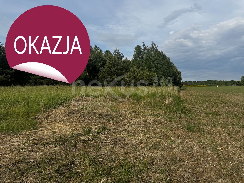 Działka budowlana Sądrożyce. Zdjęcie 4