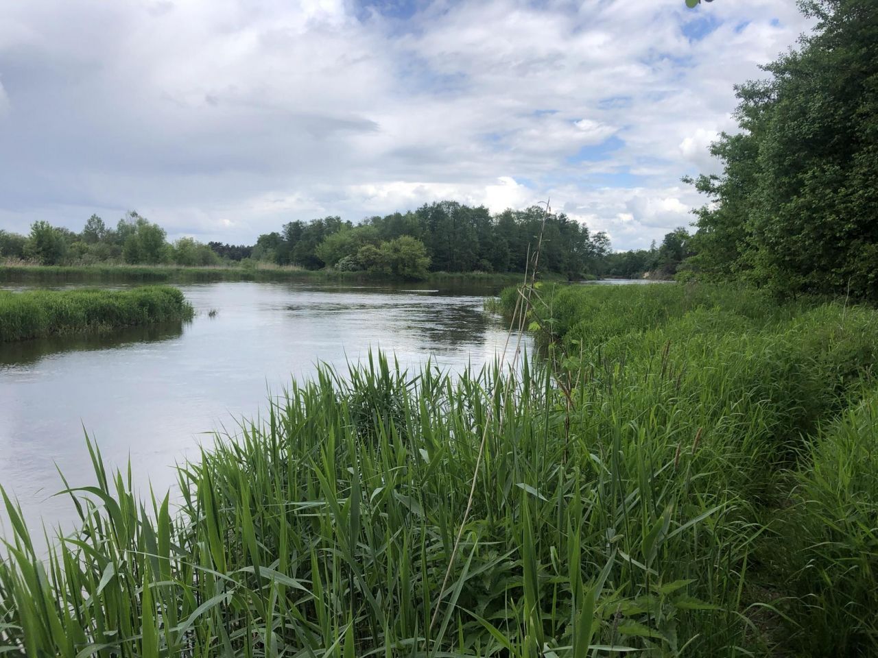 Działka rekreacyjna Biała Góra. Zdjęcie 9