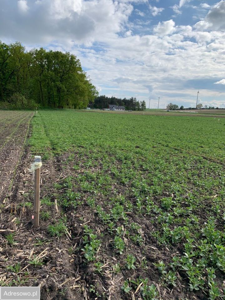 Działka budowlana Mielno. Zdjęcie 17