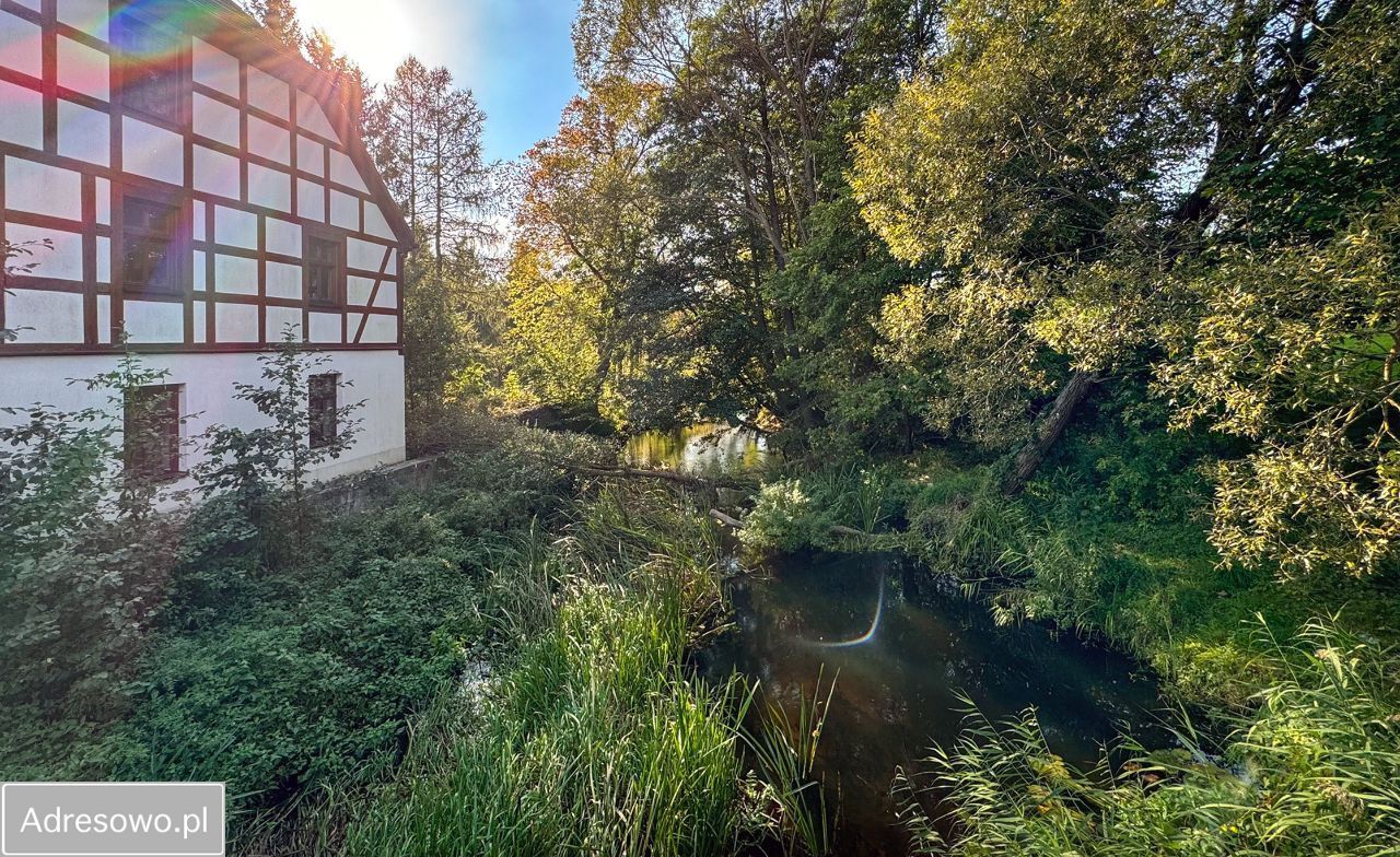 Nieruchomość komercyjna Babigoszcz. Zdjęcie 7