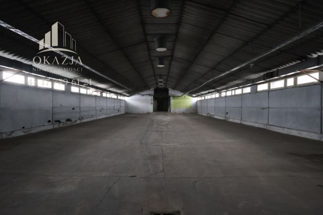 Lokal Wysoka Głogowska. Zdjęcie 8