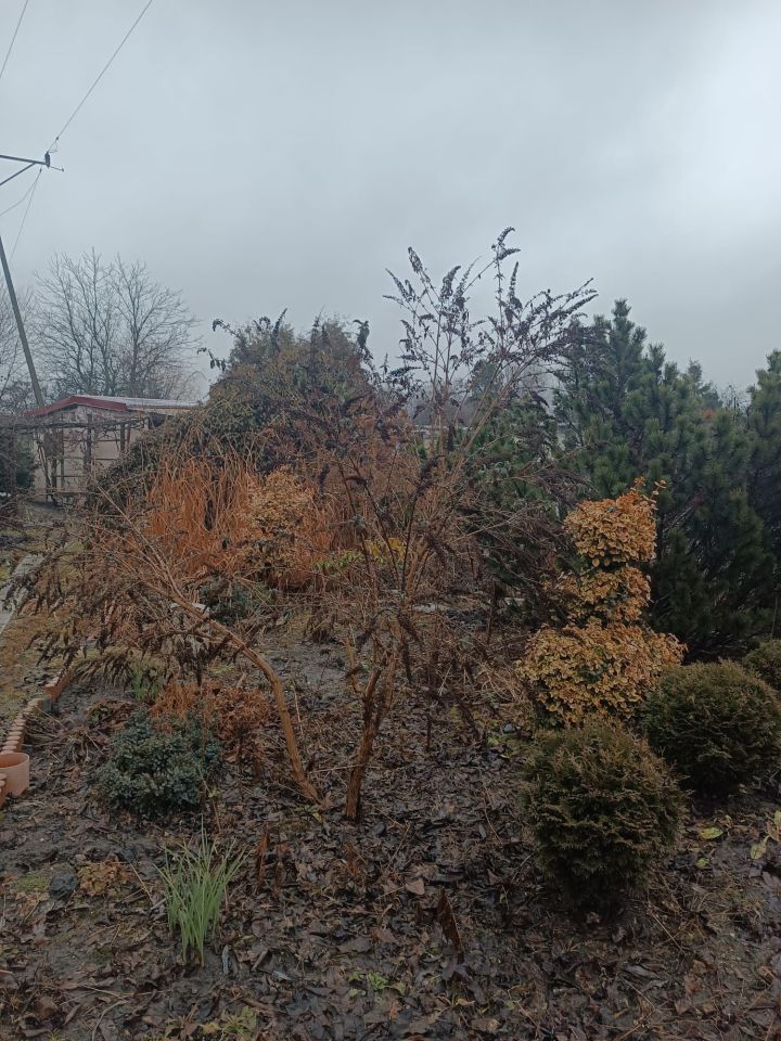 Działka rod Ostrów Wielkopolski. Zdjęcie 7